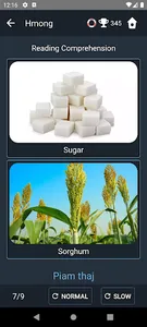 Hmong Language Tests screenshot 5