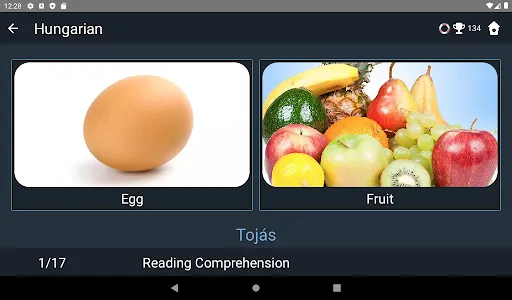 Hungarian Language Tests screenshot 13
