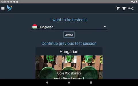 Hungarian Language Tests screenshot 16