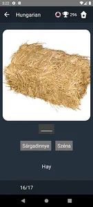 Hungarian Language Tests screenshot 3