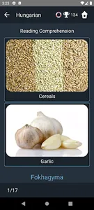 Hungarian Language Tests screenshot 5