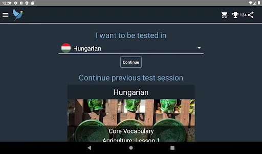 Hungarian Language Tests screenshot 8