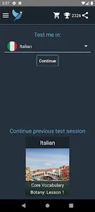 Italian Language Tests screenshot 0