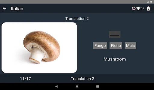 Italian Language Tests screenshot 11