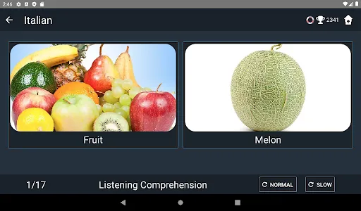 Italian Language Tests screenshot 12