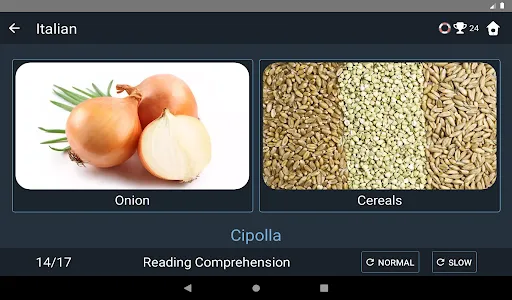 Italian Language Tests screenshot 13