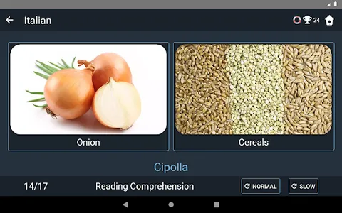 Italian Language Tests screenshot 21