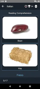 Italian Language Tests screenshot 5