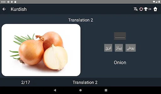 Kurdish Language Tests screenshot 11