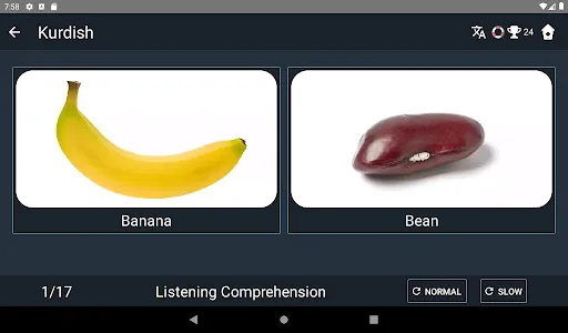 Kurdish Language Tests screenshot 12