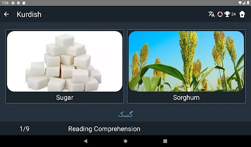 Kurdish Language Tests screenshot 13