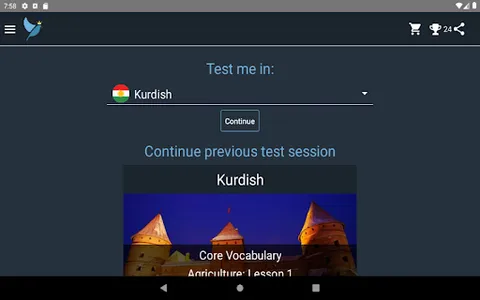Kurdish Language Tests screenshot 16