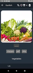 Kurdish Language Tests screenshot 3