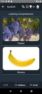 Kurdish Language Tests screenshot 4