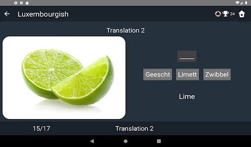 Luxembourgish Language Tests screenshot 11