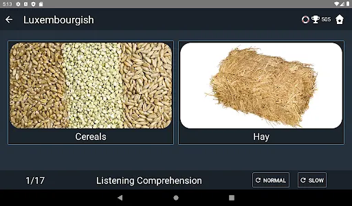 Luxembourgish Language Tests screenshot 12