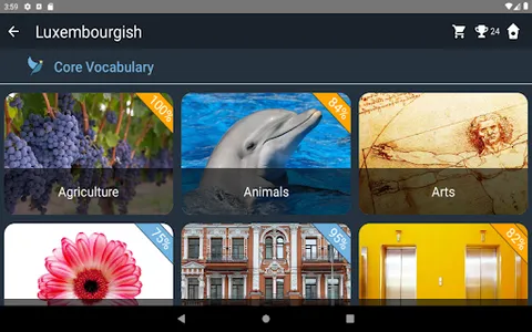 Luxembourgish Language Tests screenshot 17