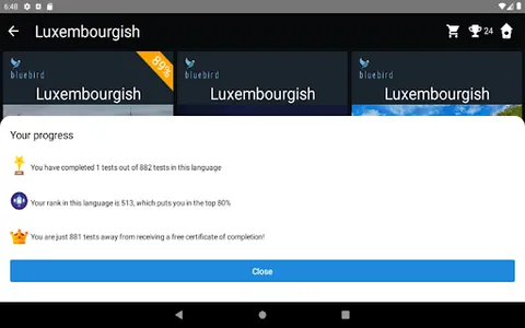Luxembourgish Language Tests screenshot 18