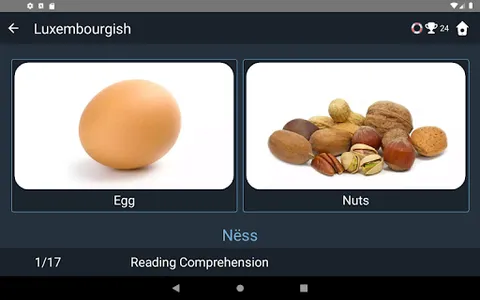 Luxembourgish Language Tests screenshot 21