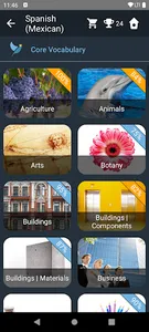 Mexican Spanish Language Tests screenshot 1