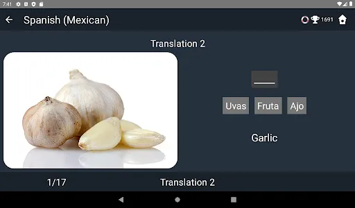 Mexican Spanish Language Tests screenshot 11