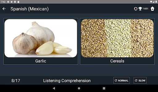 Mexican Spanish Language Tests screenshot 12