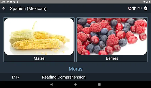 Mexican Spanish Language Tests screenshot 13