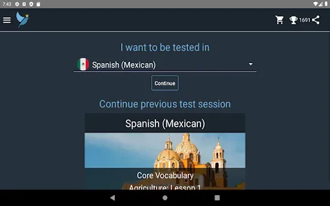 Mexican Spanish Language Tests screenshot 16