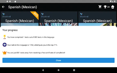 Mexican Spanish Language Tests screenshot 18