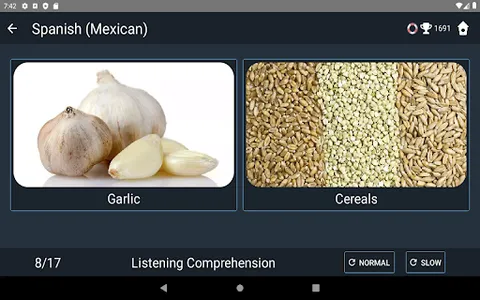 Mexican Spanish Language Tests screenshot 20