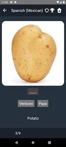 Mexican Spanish Language Tests screenshot 3