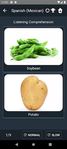 Mexican Spanish Language Tests screenshot 4
