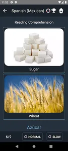 Mexican Spanish Language Tests screenshot 5