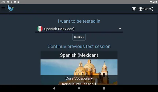 Mexican Spanish Language Tests screenshot 8