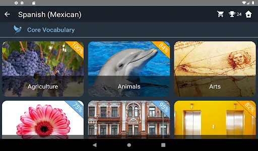 Mexican Spanish Language Tests screenshot 9