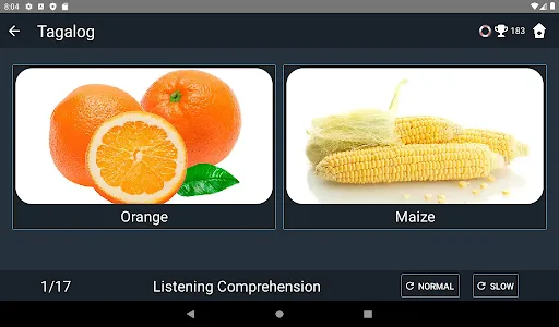 Tagalog Language Tests screenshot 12