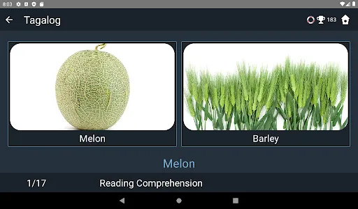 Tagalog Language Tests screenshot 13