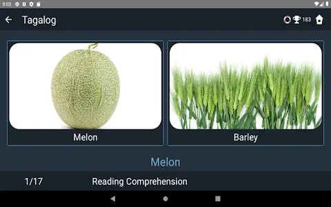 Tagalog Language Tests screenshot 21