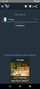 Yoruba Language Tests screenshot 0