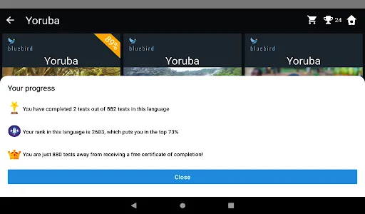 Yoruba Language Tests screenshot 10