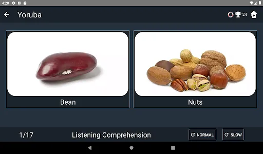 Yoruba Language Tests screenshot 12