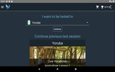 Yoruba Language Tests screenshot 16