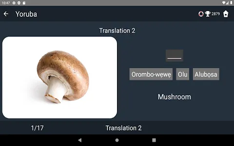 Yoruba Language Tests screenshot 19