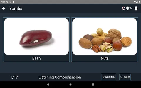 Yoruba Language Tests screenshot 20