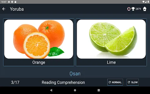 Yoruba Language Tests screenshot 21