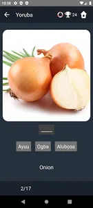 Yoruba Language Tests screenshot 3