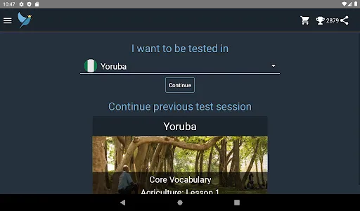 Yoruba Language Tests screenshot 8