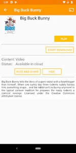 Octa Player screenshot 2