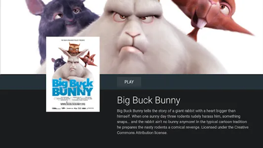 Octa Player screenshot 5