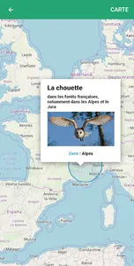 France - Beijing Expo 2019 screenshot 5